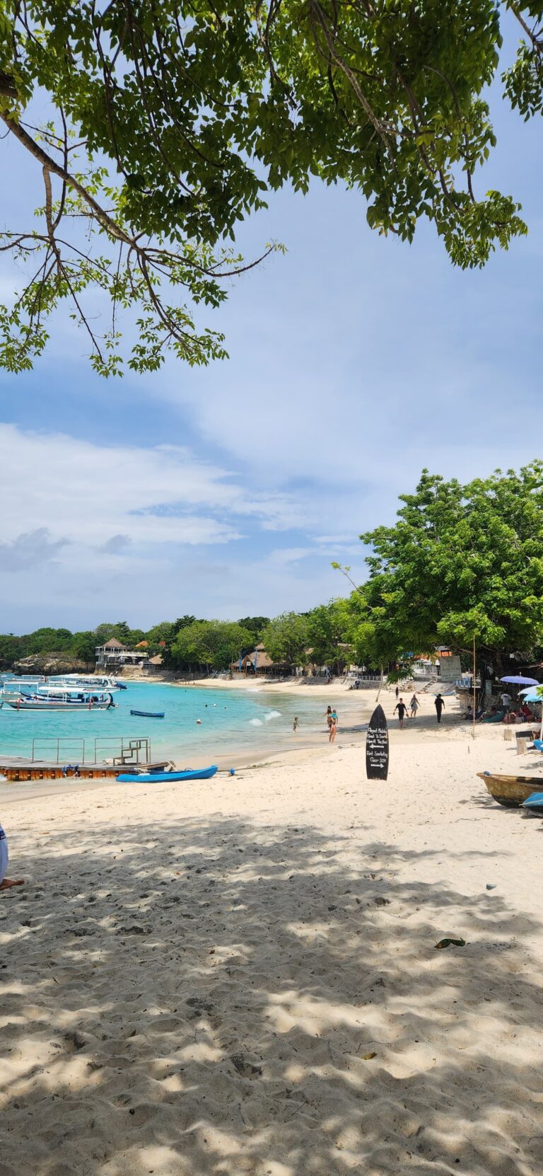 WhatsApp Image 2026-01-16 at 5.50.46 PM